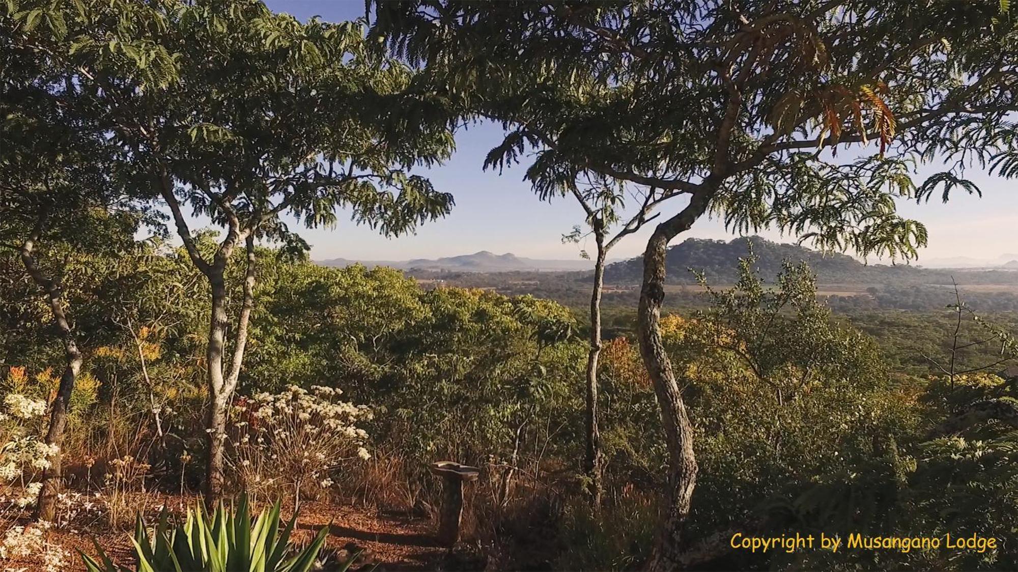Musangano Lodge Odzi Εξωτερικό φωτογραφία