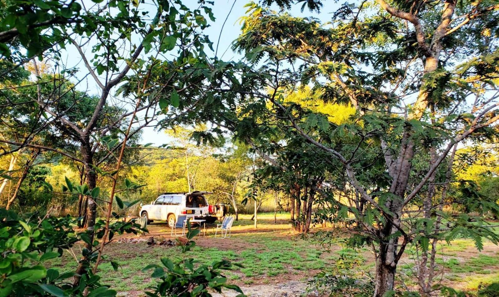 Musangano Lodge Odzi Εξωτερικό φωτογραφία