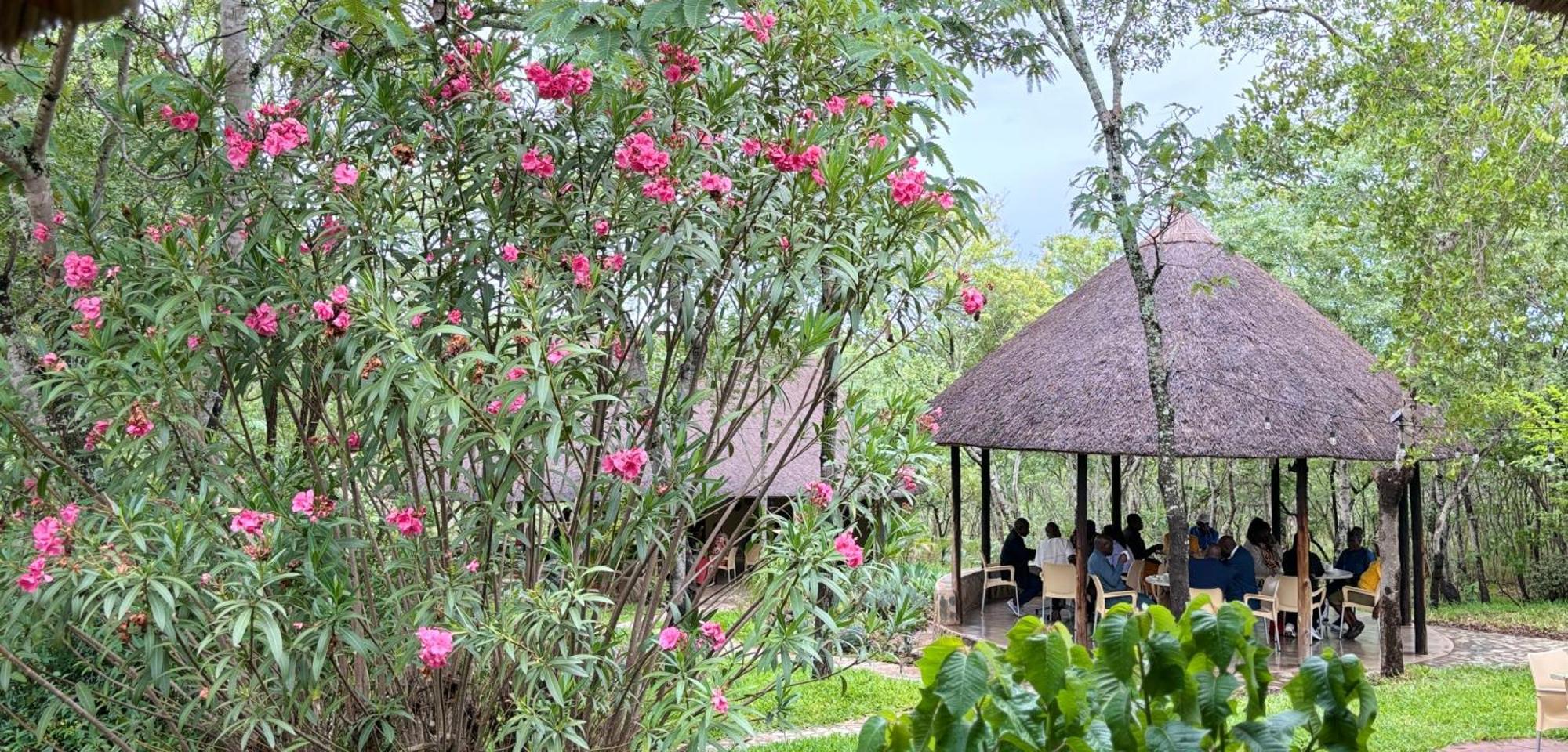 Musangano Lodge Odzi Εξωτερικό φωτογραφία