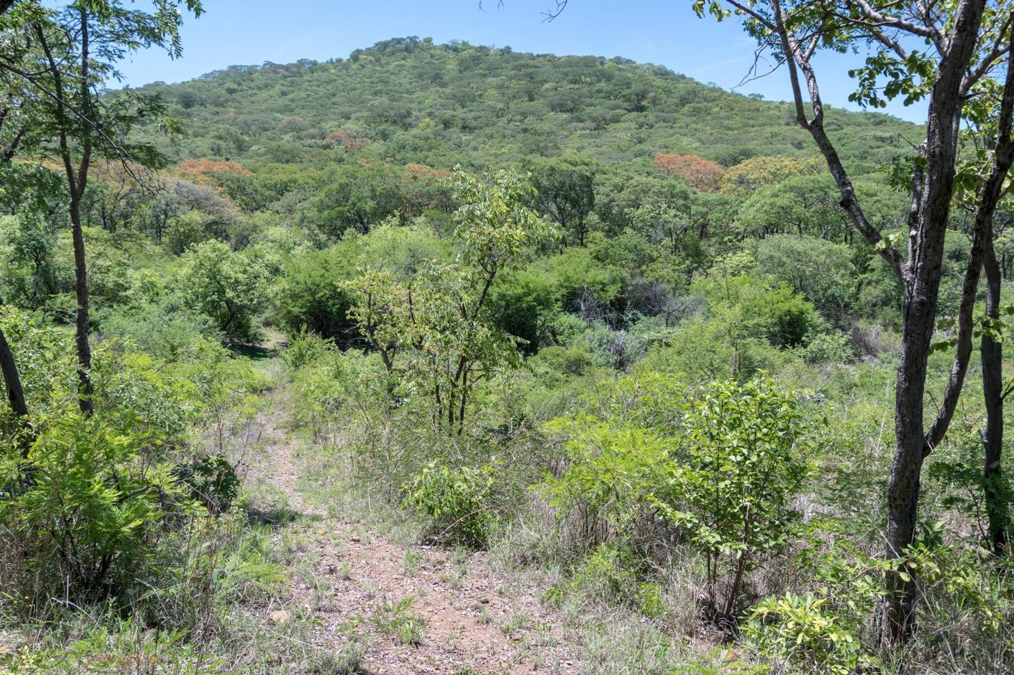Musangano Lodge Odzi Εξωτερικό φωτογραφία
